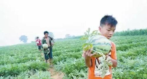 黑料吃瓜网apk普通安装 第2张 黑料吃瓜网apk普通安装 第2张