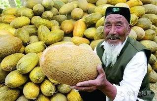 哈密瓜影视  第3张