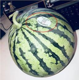黑料吃瓜网apk普通安装 第3张 黑料吃瓜网apk普通安装 第3张