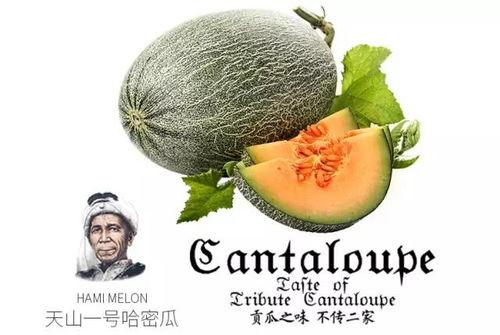 黑料吃瓜网apk普通安装 第2张 黑料吃瓜网apk普通安装 第2张