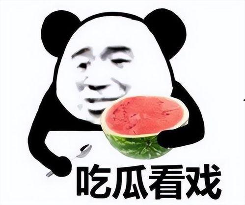 表情包大乱斗 