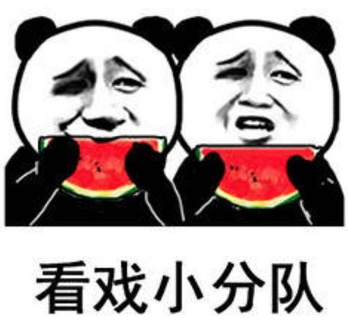 表情包大乱斗 第2张 表情包大乱斗 第2张