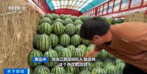 黑料吃瓜网apk普通安装 第3张 黑料吃瓜网apk普通安装 第3张